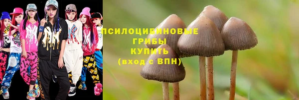 марки nbome Богородицк
