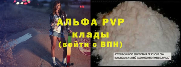прущий лед Богданович