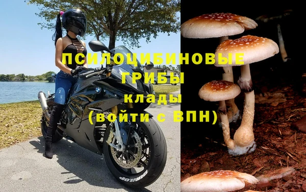 spice Богородск