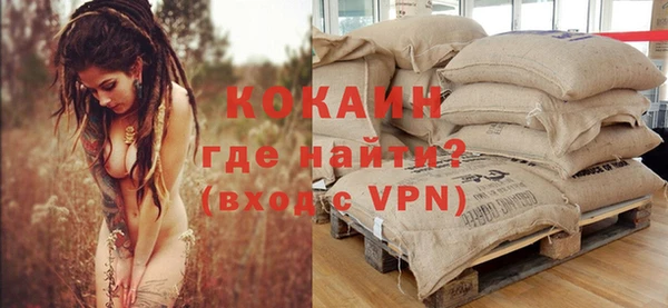 прущий лед Богданович