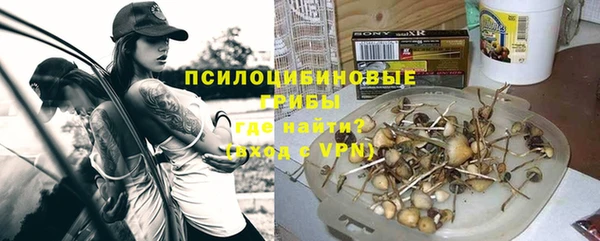 прущий лед Богданович