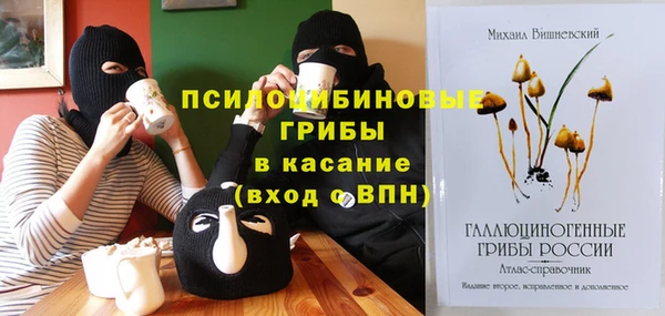 прущий лед Богданович