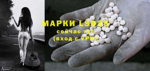 spice Богородск