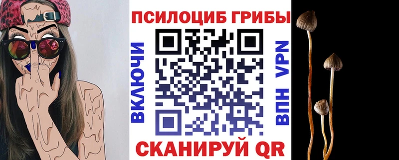 Псилоцибиновые грибы Psilocybe  как найти закладки  Озёрск 